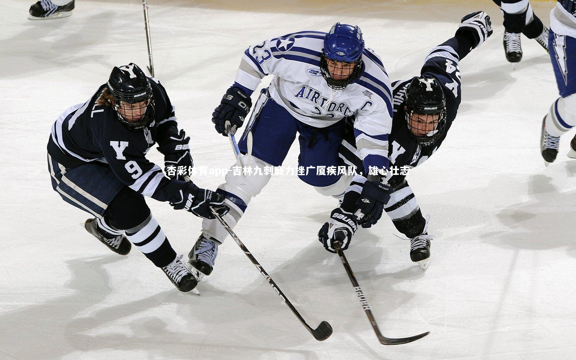 杏彩体育app-吉林九刺鹿力挫广厦疾风队，雄心壮志