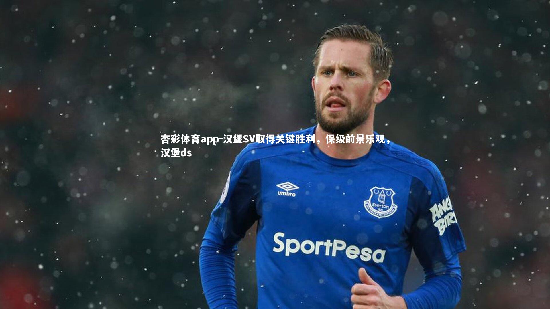 汉堡SV取得关键胜利，保级前景乐观，汉堡ds